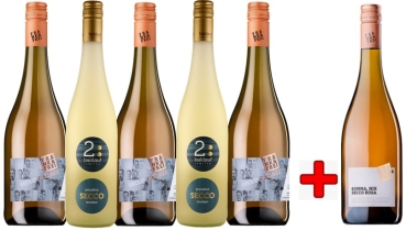 5+1 SECCO MIX + KOMMA NIX